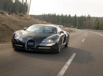 Bugatti Veyron 16.4 Linea Vincero by Mansory 2009 года